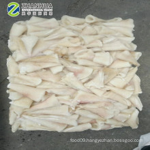 Squid tail tips frozen giant squid